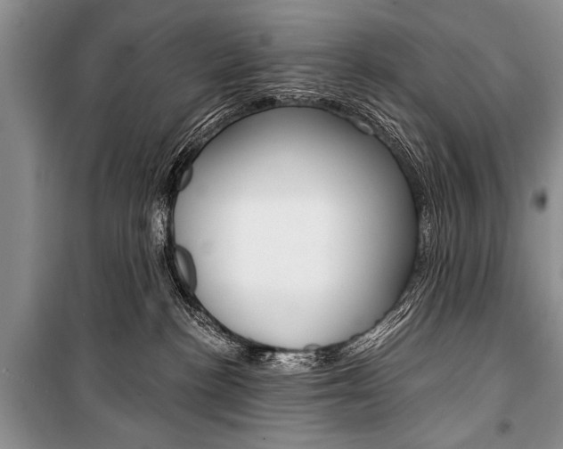 X0000101110188200806261118