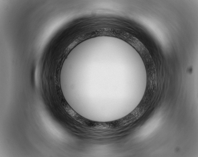 X0000101110189200806261118