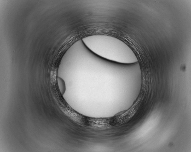 X0000101110191200806261118