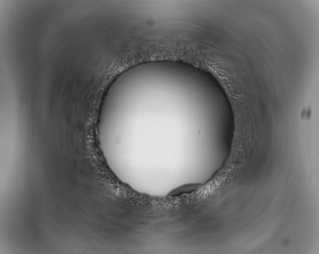 X0000101110192200806261118