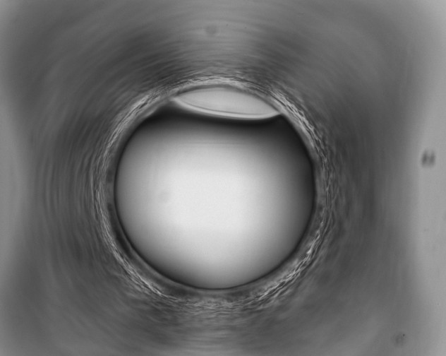X0000101110193200806261117