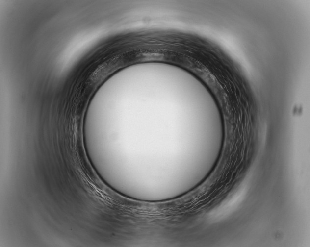 X0000101110194200806261117