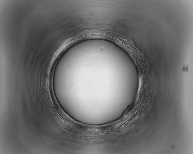 X0000101110195200806261117