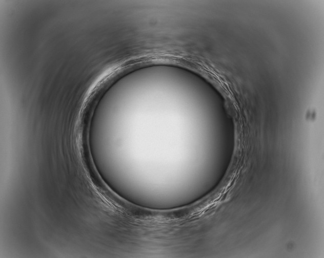 X0000101110197200806261117