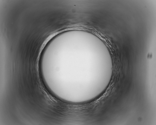 X0000101110200200806261117