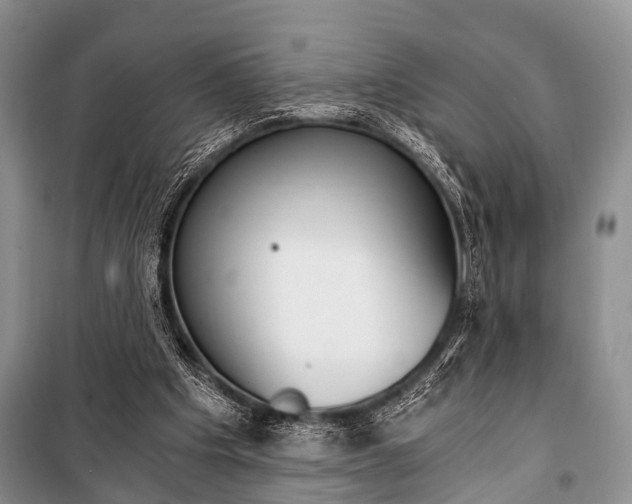X0000101110201200806261117