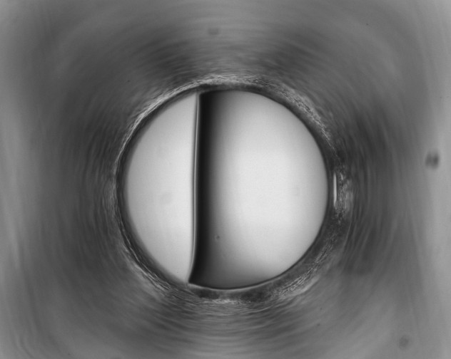 X0000101110204200806261117
