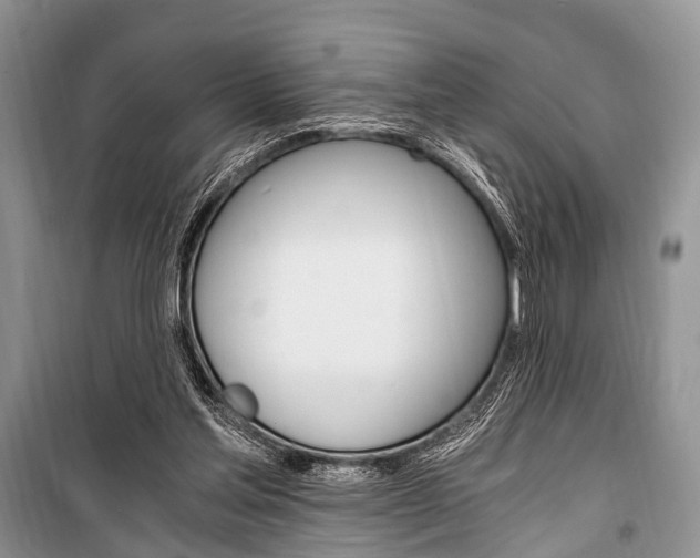 X0000101110205200806261117