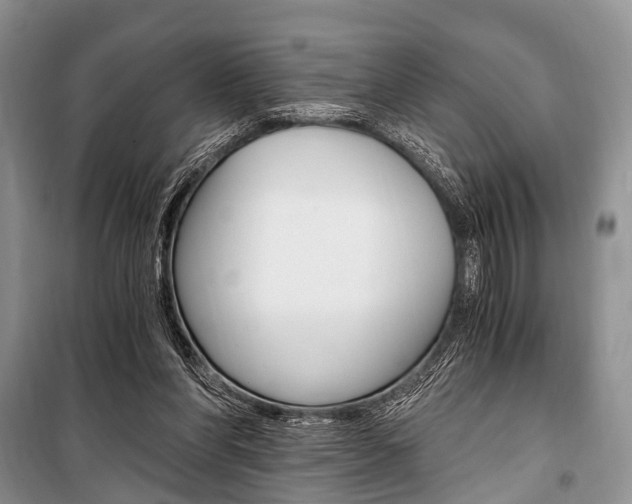 X0000101110206200806261117