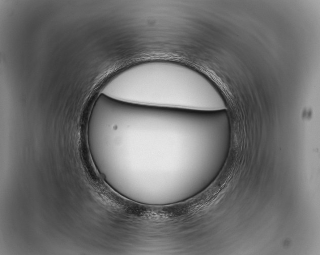 X0000101110207200806261117
