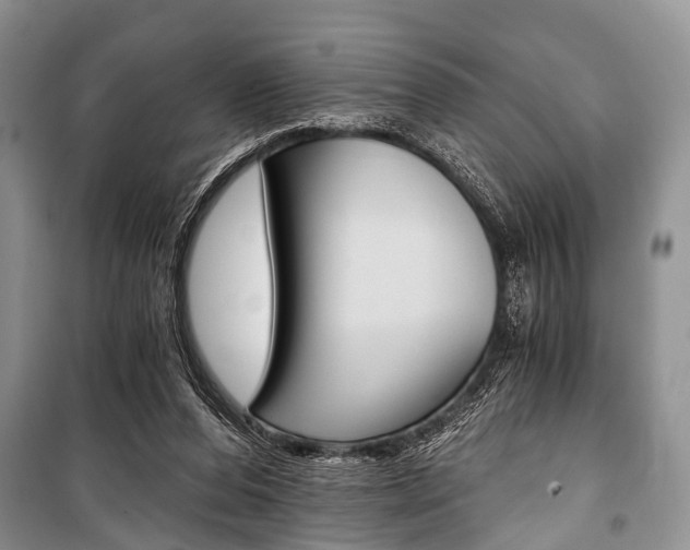 X0000101110208200806261117