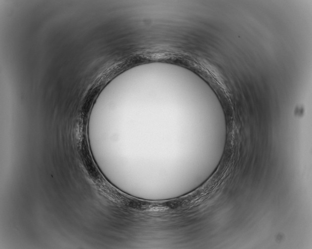 X0000101110210200806261117