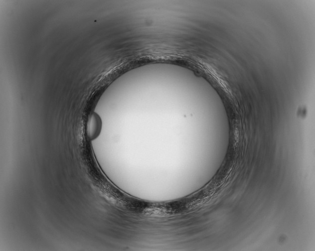 X0000101110211200806261117