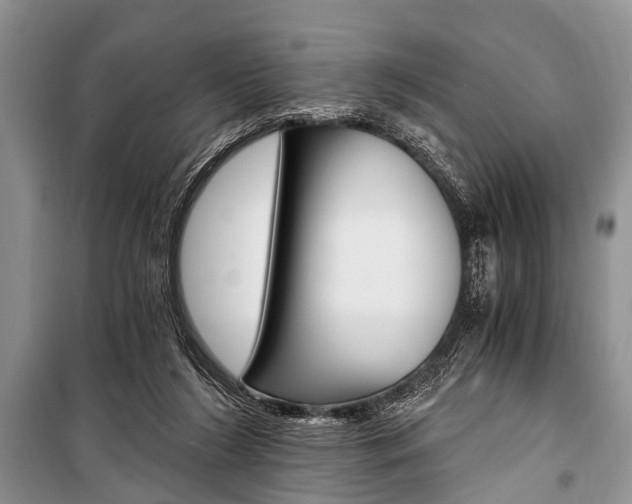 X0000101110212200806261117