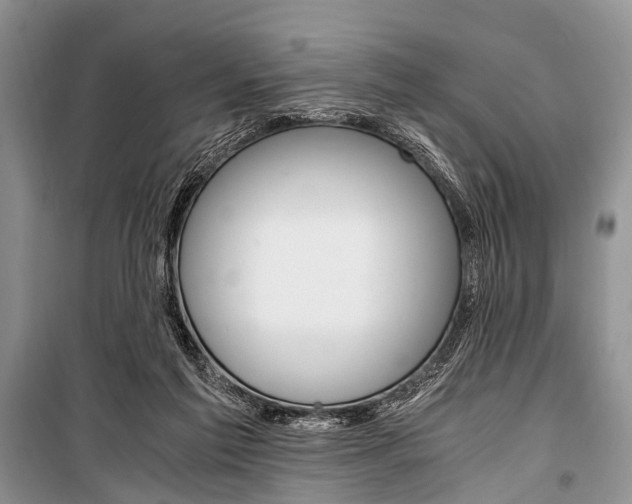X0000101110213200806261117