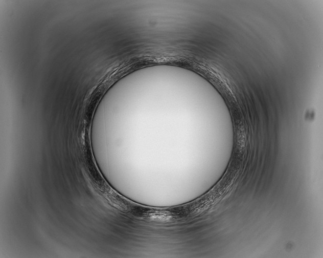 X0000101110214200806261117