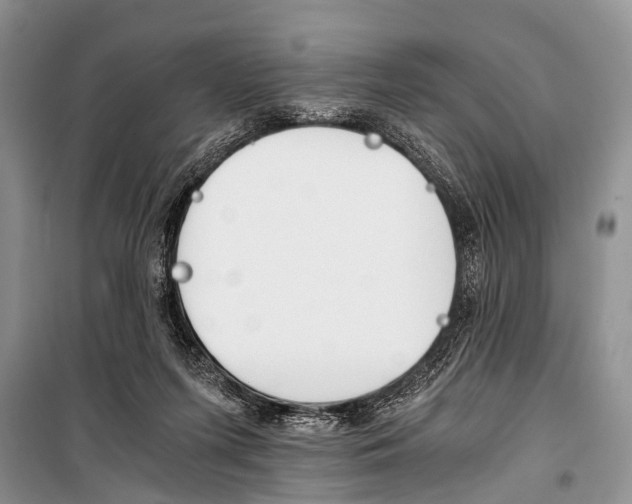 X0000101110215200806261117