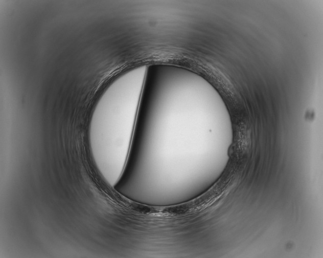 X0000101110216200806261117
