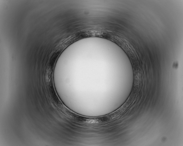 X0000101110218200806261117