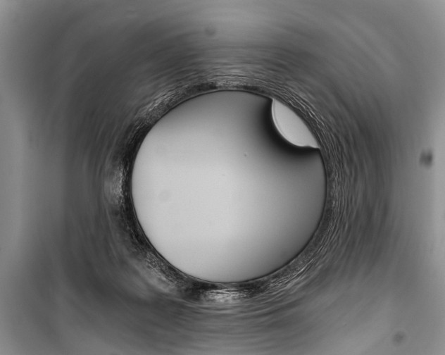 X0000101110219200806261117