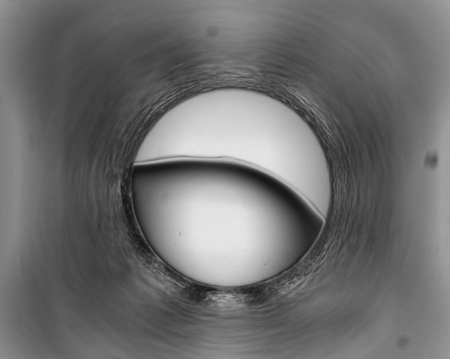X0000101110221200806261117