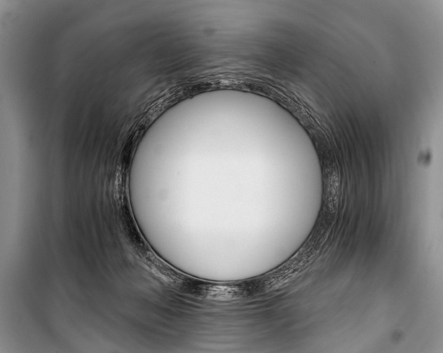 X0000101110222200806261117