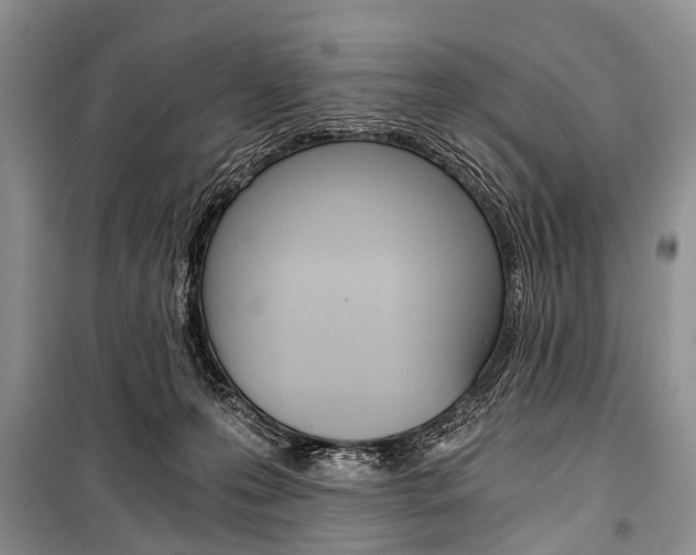 X0000101110223200806261117