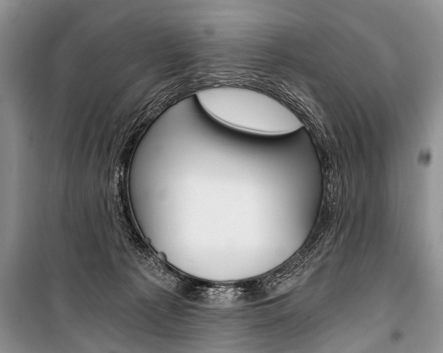 X0000101110225200806261116