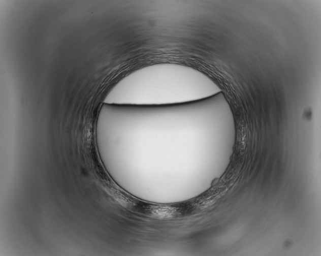 X0000101110226200806261116