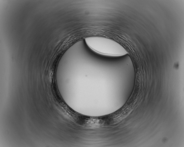 X0000101110227200806261116