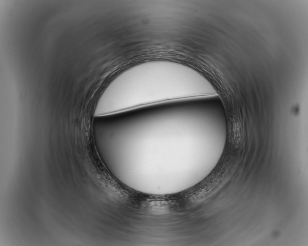 X0000101110228200806261116