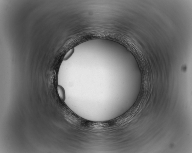 X0000101110229200806261116