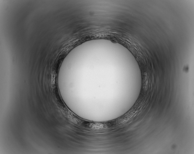 X0000101110230200806261116