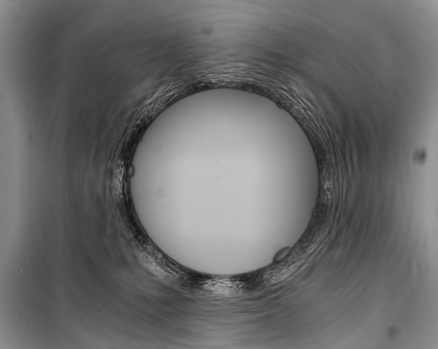 X0000101110231200806261116