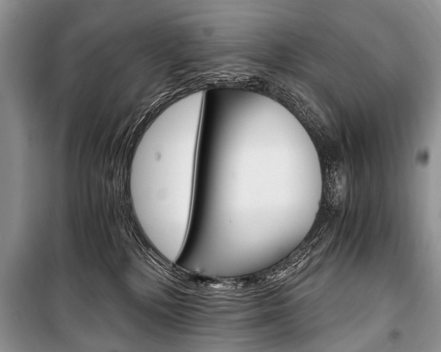 X0000101110232200806261116