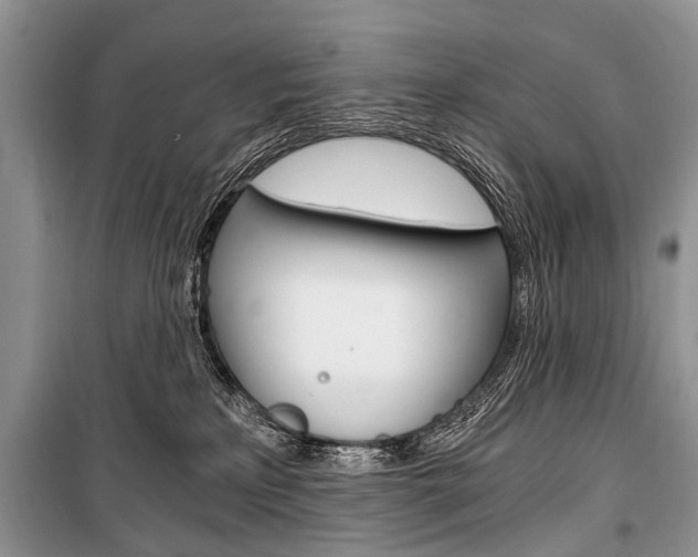 X0000101110233200806261116