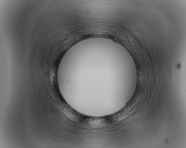 X0000101110235200806261116
