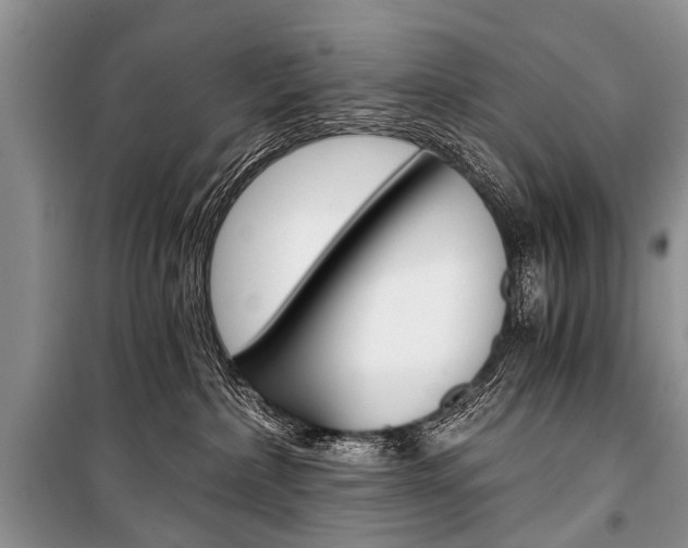 X0000101110236200806261116