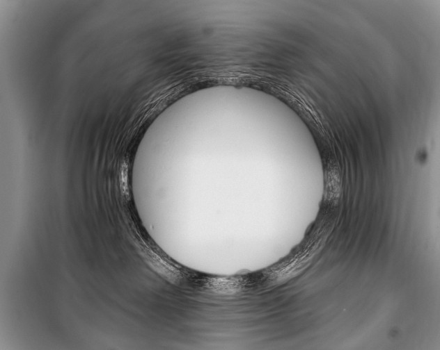 X0000101110238200806261116