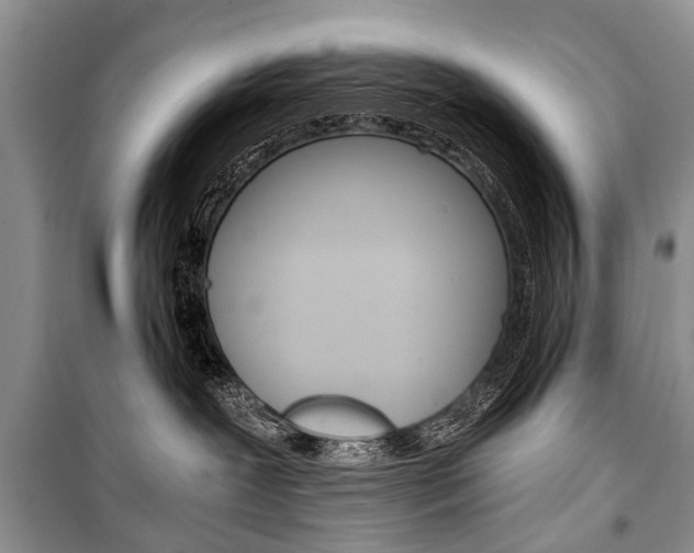 X0000101110239200806261116
