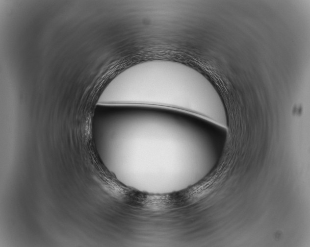 X0000101110240200806261116