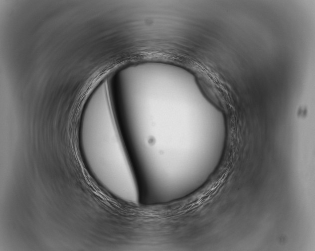 X0000101110241200806261116
