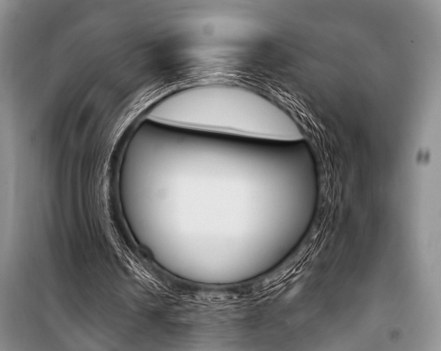 X0000101110242200806261116