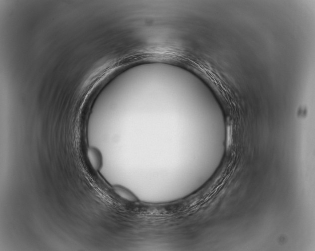 X0000101110243200806261116