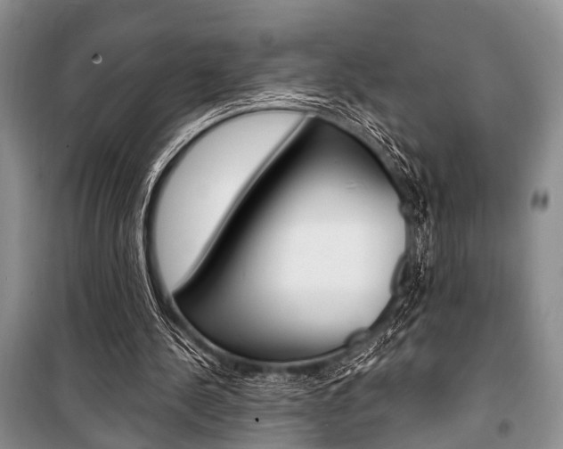 X0000101110244200806261116