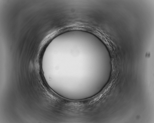 X0000101110245200806261116