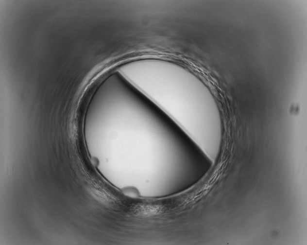 X0000101110247200806261116