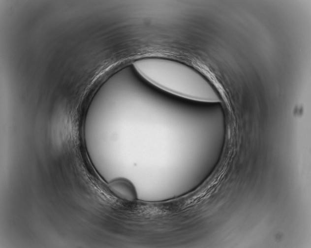 X0000101110249200806261116