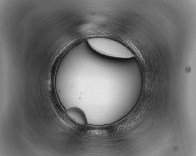 X0000101110251200806261116