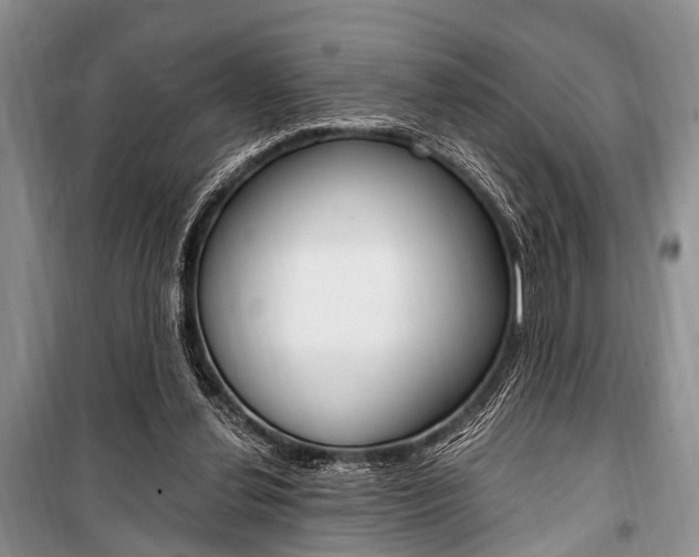 X0000101110252200806261116
